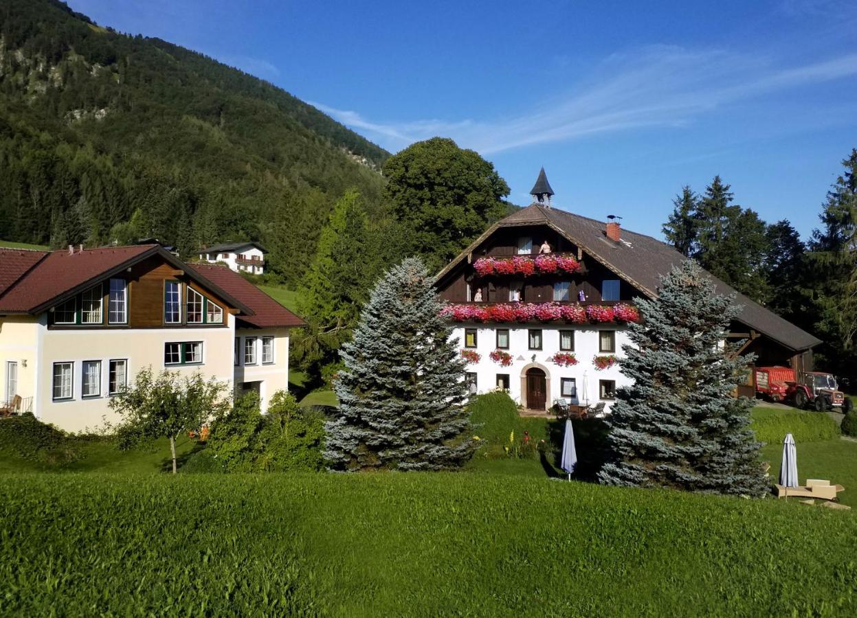 Pension Hohenau Hotel Fuschl am See Exterior photo